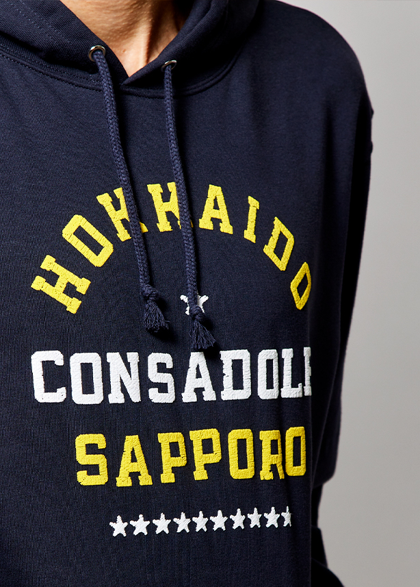 Embroidery style hoodie